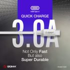 Sigma Data Cable C40